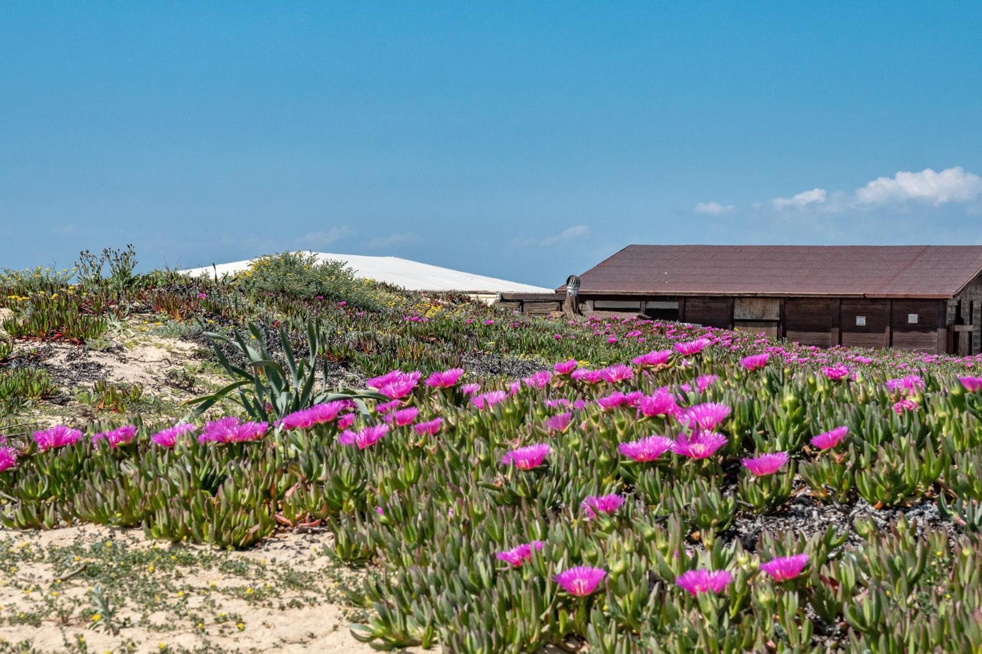 Precioso Chalet A Pie De Playa Punta Umbría Zewnętrze zdjęcie